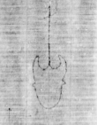 DE0465-4CodMus25_9 - Typ:0 - ID: 156952 - Eintrag Nr.: 197 Wasserzeichen DE0465-4CodMus25_9