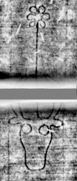 Wasserzeichen DE5580-Cgm7247_26