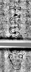 DE5580-Cgm7867_31 - Typ:0 - ID: 157015 - Eintrag Nr.: 182 Wasserzeichen DE5580-Cgm7867_31