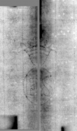 Wasserzeichen DE4795-GoS448_999