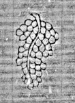 Wasserzeichen DE6720-Pa75_2