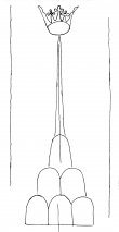 Wasserzeichen DE4200-Donaueschingen447a_372