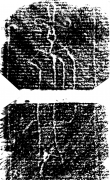 Wasserzeichen DE4200-Donaueschingen424_4