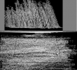 Wasserzeichen DE3270-theol156h_25