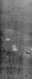 DE5025-tl104_1a - Typ:0 - ID: 158592 - Eintrag Nr.: 3 Wasserzeichen DE5025-tl104_1a
