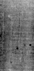 DE5025-tl104_3 - Typ:0 - ID: 158593 - Eintrag Nr.: 2 Wasserzeichen DE5025-tl104_3