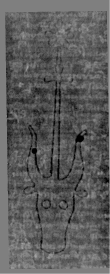 DE5025-tl104_18 - Typ:0 - ID: 158594 - Eintrag Nr.: 1 Wasserzeichen DE5025-tl104_18