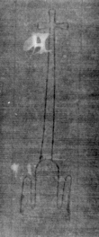 DE5025-tl104_146 - Typ:0 - ID: 158601 - Eintrag Nr.: 5 Wasserzeichen DE5025-tl104_146