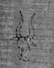 DE5025-tl111_107 - Typ:0 - ID: 158621 - Eintrag Nr.: 63 Wasserzeichen DE5025-tl111_107