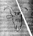 DE5025-tl114_I - Typ:0 - ID: 158892 - Eintrag Nr.: 8 Wasserzeichen DE5025-tl114_I
