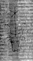 DE5025-tl114_2 - Typ:0 - ID: 158893 - Eintrag Nr.: 7 Wasserzeichen DE5025-tl114_2