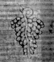 DE5025-tl114_22 - Typ:0 - ID: 158896 - Eintrag Nr.: 4 Wasserzeichen DE5025-tl114_22