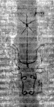 DE5025-tl114_42 - Typ:0 - ID: 158897 - Eintrag Nr.: 3 Wasserzeichen DE5025-tl114_42