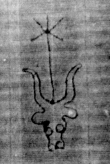 DE5025-tl116_178 - Typ:0 - ID: 158956 - Eintrag Nr.: 5 Wasserzeichen DE5025-tl116_178