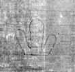 DE5025-tl109_48 - Typ:0 - ID: 158991 - Eintrag Nr.: 265 Wasserzeichen DE5025-tl109_48