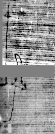 DE5580-Cgm8859_131 - Typ:0 - ID: 159191 - Eintrag Nr.: 136 Wasserzeichen DE5580-Cgm8859_131