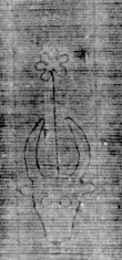 DE5025-tl122_135 - Typ:0 - ID: 159409 - Eintrag Nr.: 9 Wasserzeichen DE5025-tl122_135