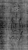 DE5025-tl122_162 - Typ:0 - ID: 159411 - Eintrag Nr.: 8 Wasserzeichen DE5025-tl122_162