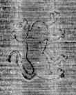 DE5025-tl123_54 - Typ:0 - ID: 159424 - Eintrag Nr.: 8 Wasserzeichen DE5025-tl123_54