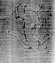 DE5025-tl123_95 - Typ:0 - ID: 159425 - Eintrag Nr.: 7 Wasserzeichen DE5025-tl123_95