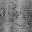 DE5025-tl123_180 - Typ:0 - ID: 159426 - Eintrag Nr.: 6 Wasserzeichen DE5025-tl123_180