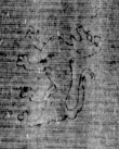 DE5025-tl123_188 - Typ:0 - ID: 159427 - Eintrag Nr.: 5 Wasserzeichen DE5025-tl123_188