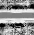 Wasserzeichen DE5580-Cgm7425_6