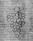 Wasserzeichen DE5025-tl124_129