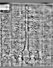 Wasserzeichen DE5580-Cod.ital.37.a.b.c_NS1
