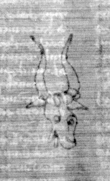 DE3270-theol239_23 - Typ:0 - ID: 159639 - Eintrag Nr.: 65 Wasserzeichen DE3270-theol239_23