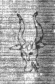 DE3270-theol239_131 - Typ:0 - ID: 159648 - Eintrag Nr.: 67 Wasserzeichen DE3270-theol239_131