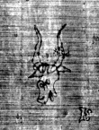 DE3270-theol239_137 - Typ:0 - ID: 159658 - Eintrag Nr.: 69 Wasserzeichen DE3270-theol239_137