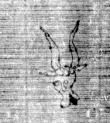 DE3270-theol239_145 - Typ:0 - ID: 159660 - Eintrag Nr.: 70 Wasserzeichen DE3270-theol239_145