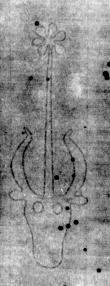 DE3270-theol152_3 - Typ:0 - ID: 159749 - Eintrag Nr.: 192 Wasserzeichen DE3270-theol152_3