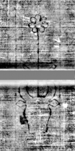 Wasserzeichen DE5580-Cgm8873_40