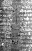 DE3270-theol153_86 - Typ:0 - ID: 159788 - Eintrag Nr.: 157 Wasserzeichen DE3270-theol153_86