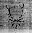 DE5025-tl134_117a - Typ:0 - ID: 159967 - Eintrag Nr.: 8 Wasserzeichen DE5025-tl134_117a