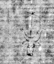 DE6720-Cod76_II_191 - Typ:0 - ID: 160032 - Eintrag Nr.: 3583 Wasserzeichen DE6720-Cod76_II_191