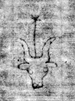 DE6720-Cod76_II_229 - Typ:0 - ID: 160042 - Eintrag Nr.: 3588 Wasserzeichen DE6720-Cod76_II_229