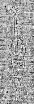 DE6720-Cod76_II_247 - Typ:0 - ID: 160050 - Eintrag Nr.: 200 Wasserzeichen DE6720-Cod76_II_247