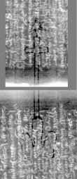 Wasserzeichen DE3270-theol97_8