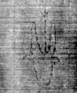 DE3270-theol172_188 - Typ:0 - ID: 160124 - Eintrag Nr.: 11 Wasserzeichen DE3270-theol172_188