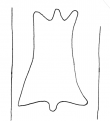 DE4200-StGeorgen_64_69 - Typ:0 - ID: 160186 - Eintrag Nr.: 5 Wasserzeichen DE4200-StGeorgen_64_69