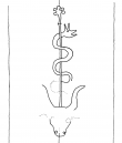 DE4200-StGeorgen_86_111 - Typ:0 - ID: 160425 - Eintrag Nr.: 75 Wasserzeichen DE4200-StGeorgen_86_111