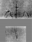 DE5025-tl126_2 - Typ:0 - ID: 160613 - Eintrag Nr.: 7 Wasserzeichen DE5025-tl126_2