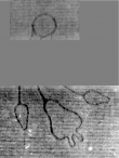 DE5025-tl126_26 - Typ:0 - ID: 160619 - Eintrag Nr.: 5 Wasserzeichen DE5025-tl126_26