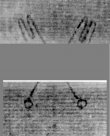 DE5025-tl126_103 - Typ:0 - ID: 160628 - Eintrag Nr.: 2 Wasserzeichen DE5025-tl126_103
