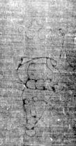 DE5025-tl129_6 - Typ:0 - ID: 160634 - Eintrag Nr.: 39 Wasserzeichen DE5025-tl129_6