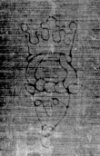 DE5025-tl129_19 - Typ:0 - ID: 160635 - Eintrag Nr.: 40 Wasserzeichen DE5025-tl129_19