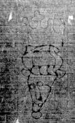DE5025-tl129_93 - Typ:0 - ID: 160636 - Eintrag Nr.: 41 Wasserzeichen DE5025-tl129_93